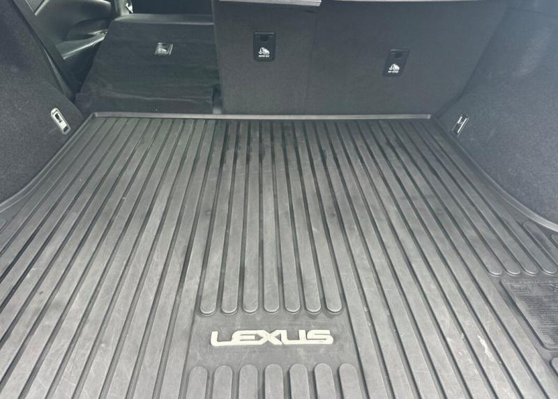 2025 Lexus RX