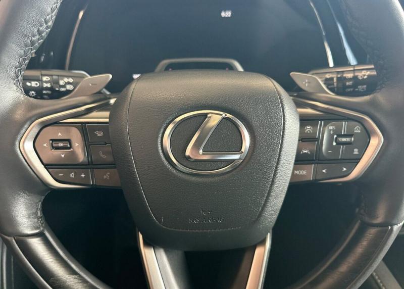 2025 Lexus RX