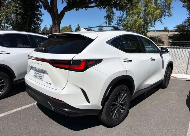 2024 Lexus NX
