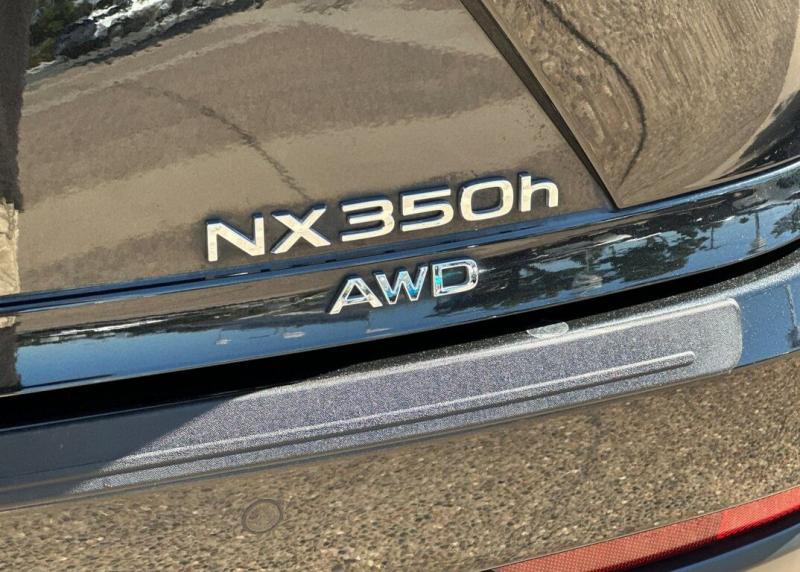 2024 Lexus NX