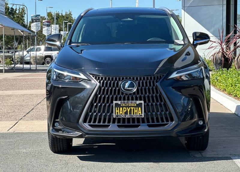 2024 Lexus NX