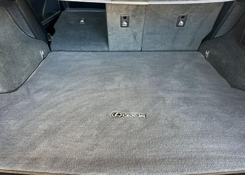 2021 Lexus RX