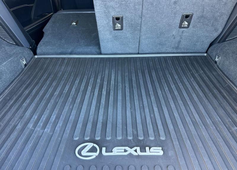 2020 Lexus RX