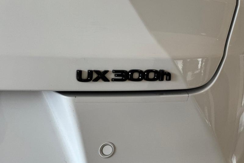2025 Lexus UX