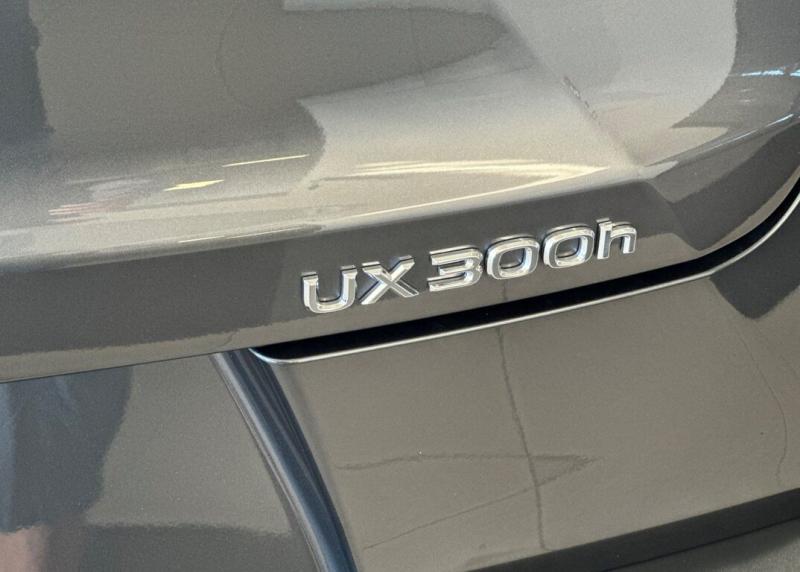 2025 Lexus UX