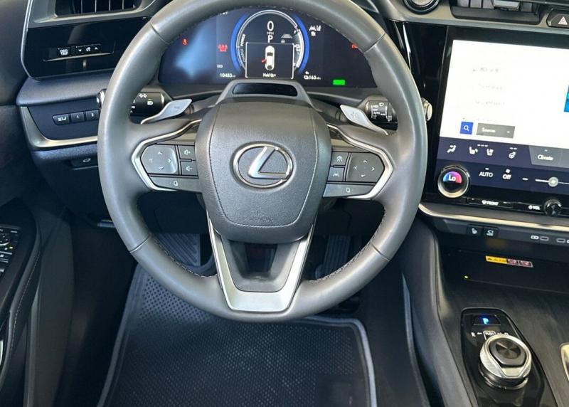 2023 Lexus RZ