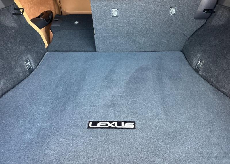 2025 Lexus RZ