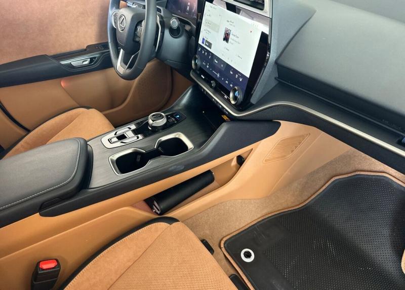 2025 Lexus RZ