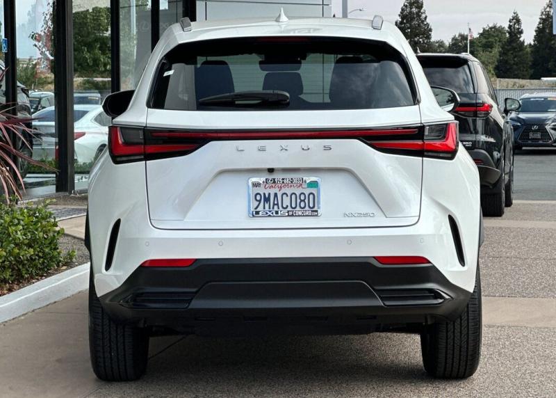 2025 Lexus NX