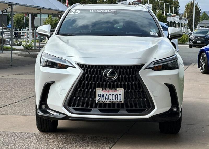 2025 Lexus NX