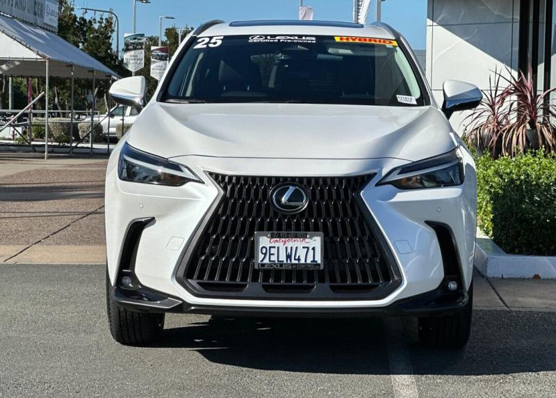 2025 Lexus NX