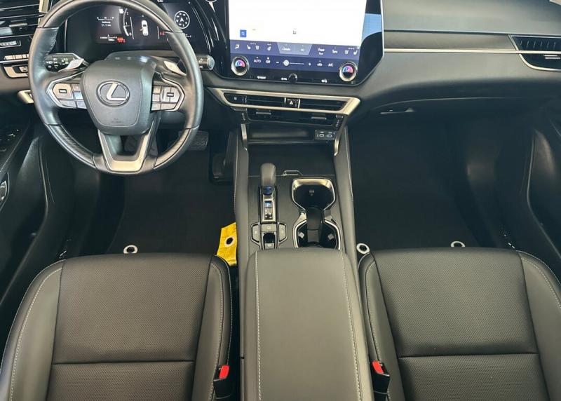 2025 Lexus RX