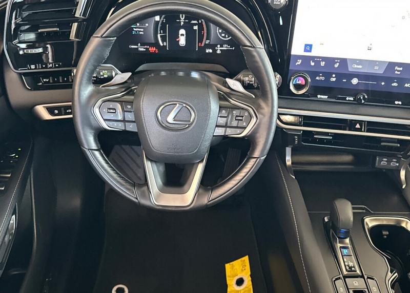 2025 Lexus RX