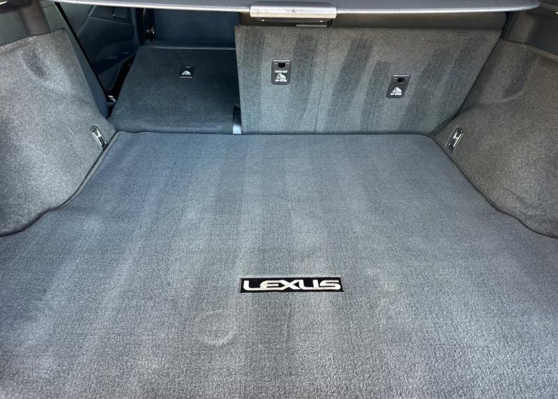 2025 Lexus RX