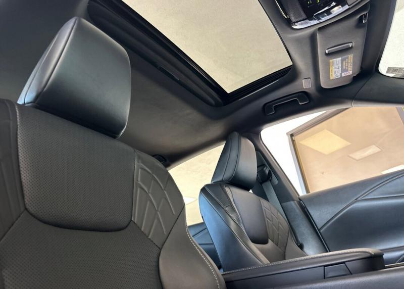 2025 Lexus RX