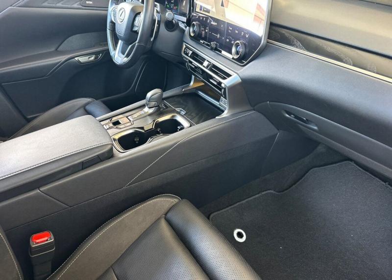 2025 Lexus RX