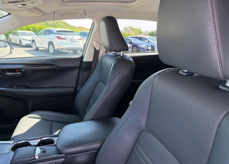 2020 Lexus NX