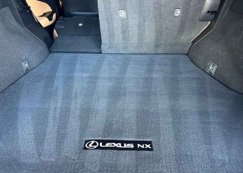 2025 Lexus NX