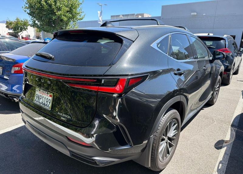 2025 Lexus NX