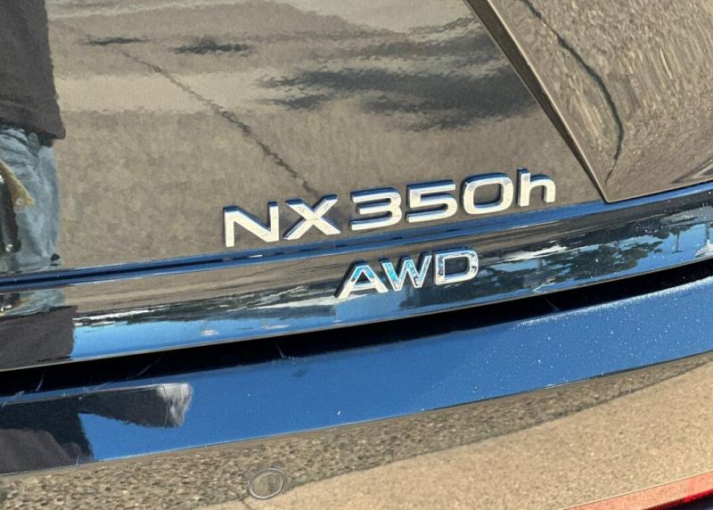 2025 Lexus NX