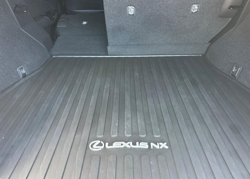 2025 Lexus NX