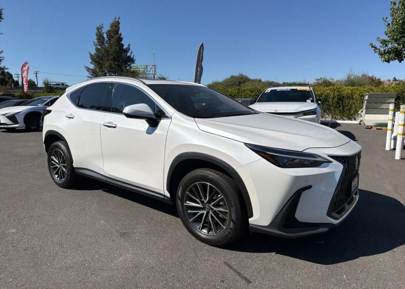 2024 Lexus NX