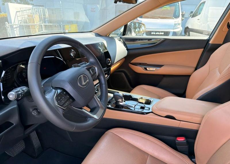 2024 Lexus NX