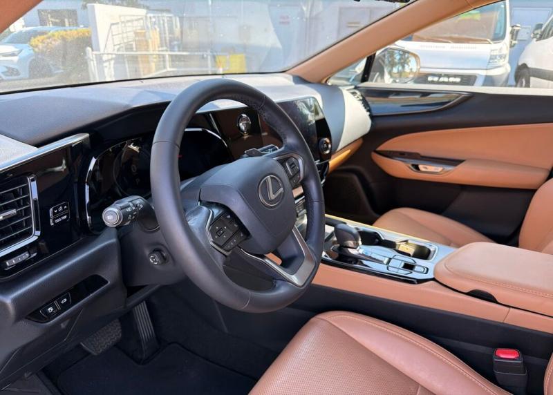 2024 Lexus NX