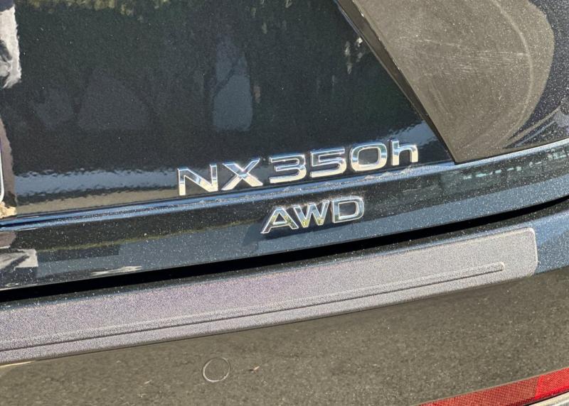 2025 Lexus NX