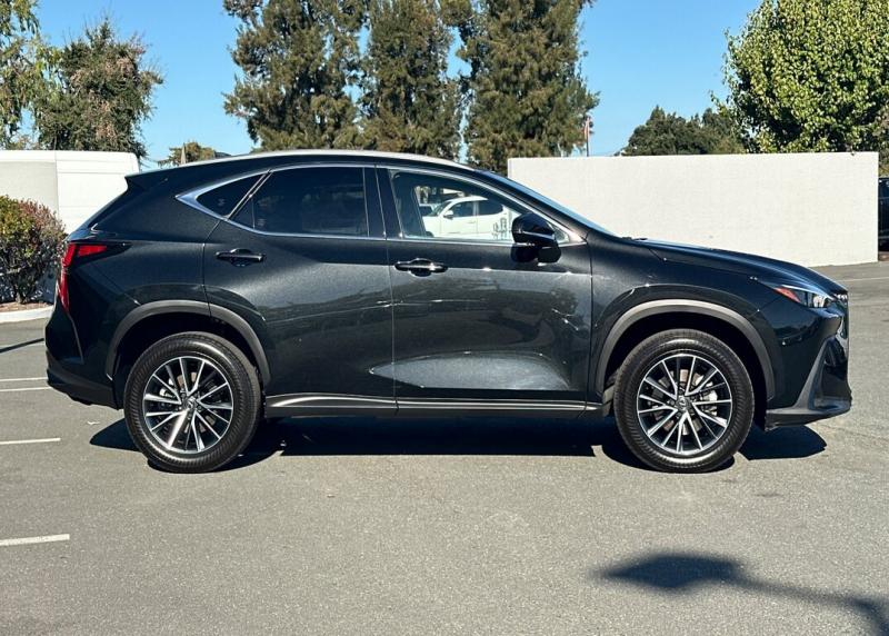 2025 Lexus NX