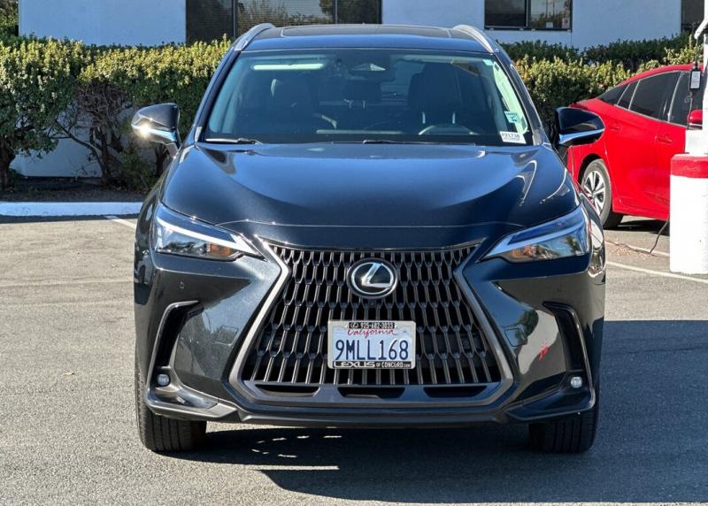 2025 Lexus NX