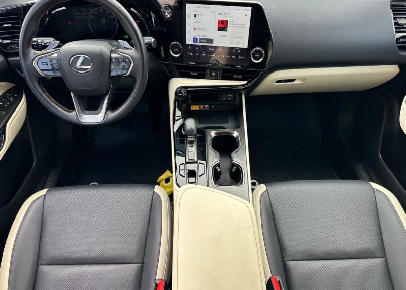 2024 Lexus NX