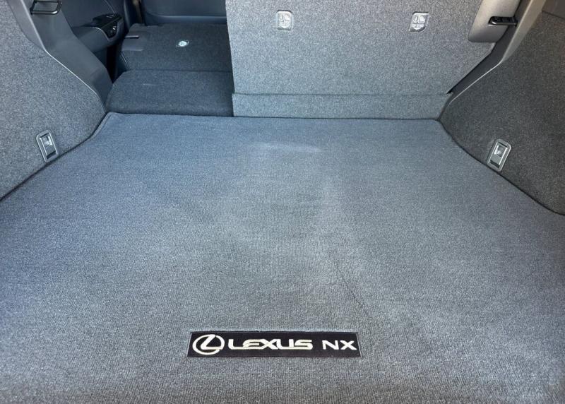 2025 Lexus NX