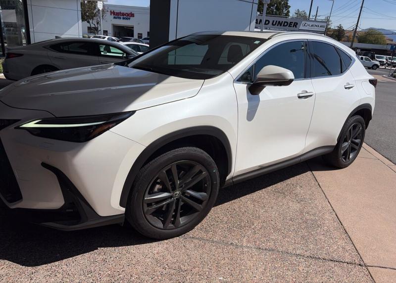 2024 Lexus NX