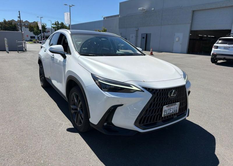 2025 Lexus NX