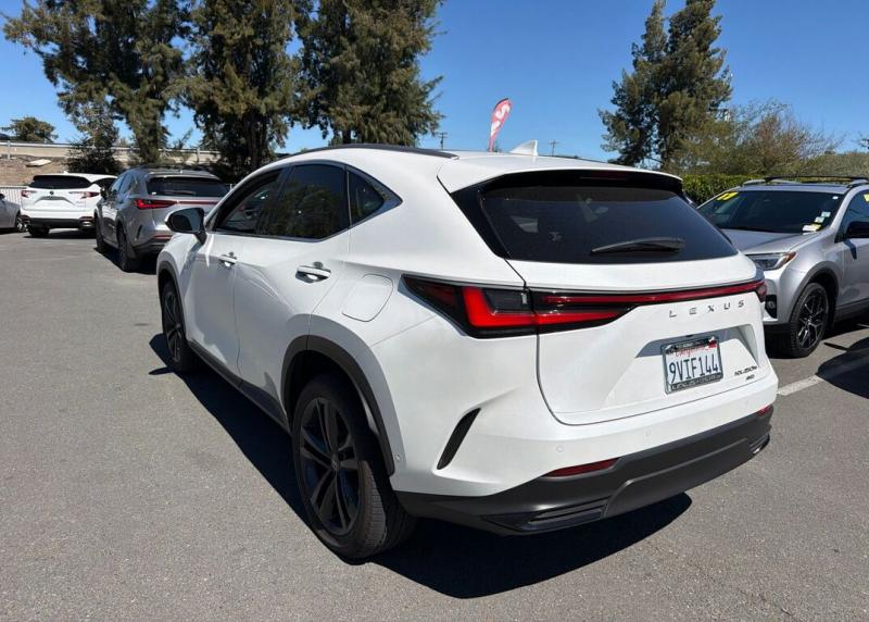 2025 Lexus NX
