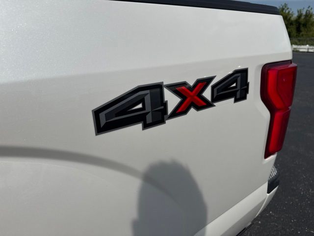 2019 Ford F 150