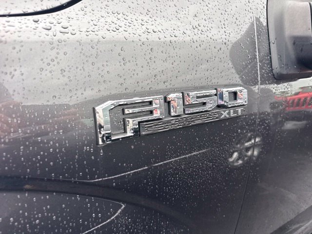 2019 Ford F 150